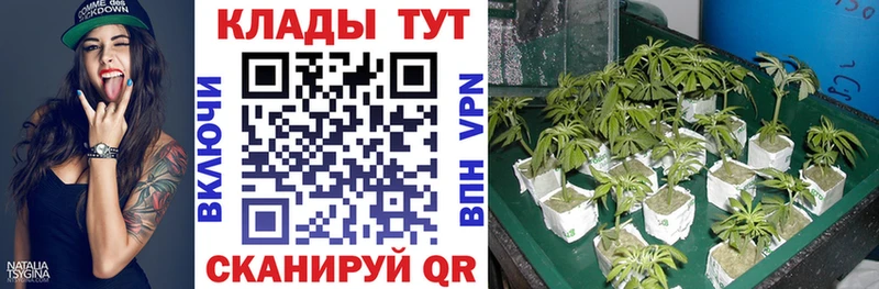 Метадон Черноголовка