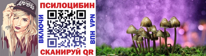 Галлюциногенные грибы Magic Shrooms  Купить закладки  Черноголовка 