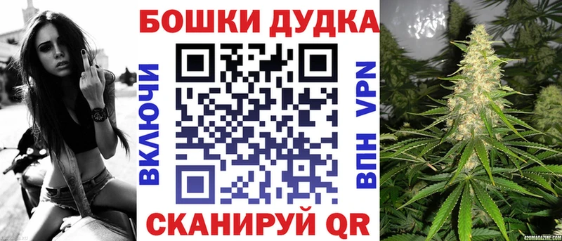 Конопля SATIVA & INDICA  Купить  Черноголовка 